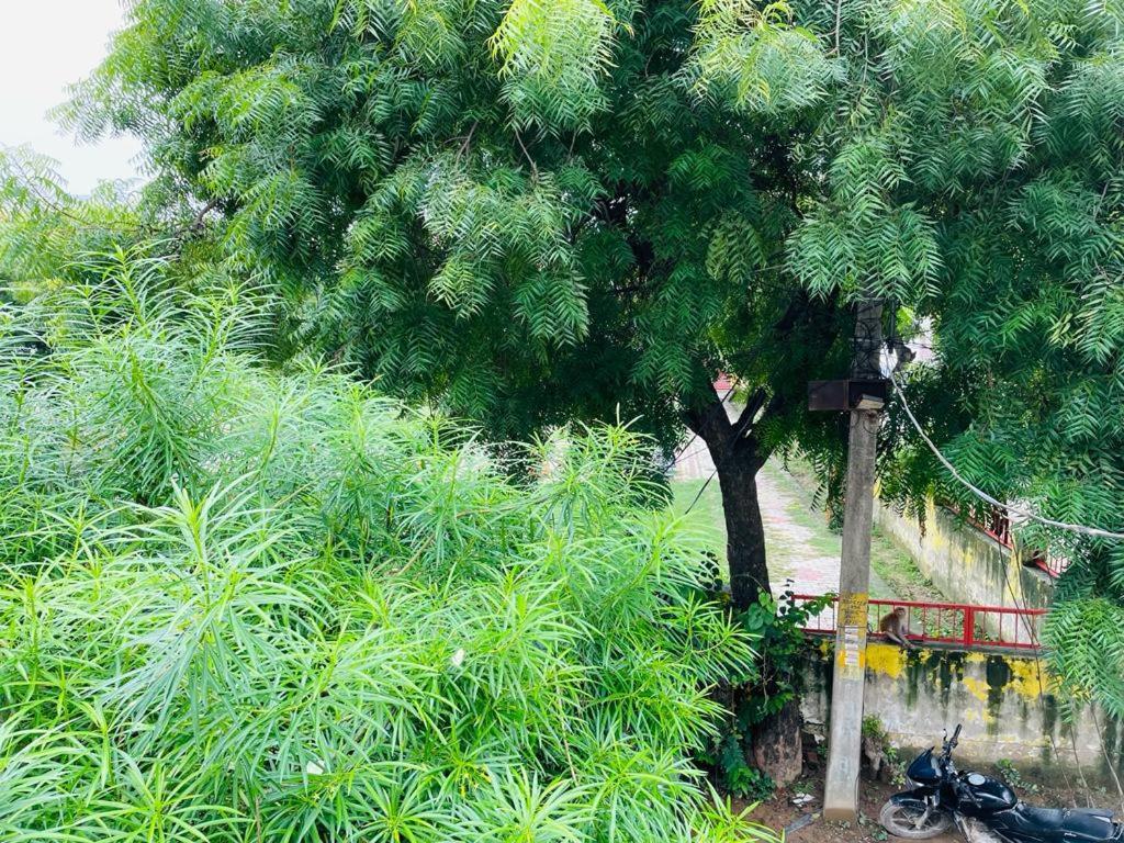 Shree Balaji Homestay Ayodhya Zewnętrze zdjęcie